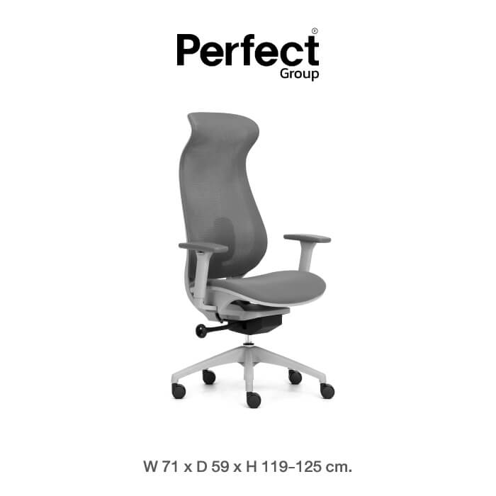 เก้าอี้ทำงานเพื่อสุขภาพ Perfect รุ่น 6237A-HS สีเทา_1